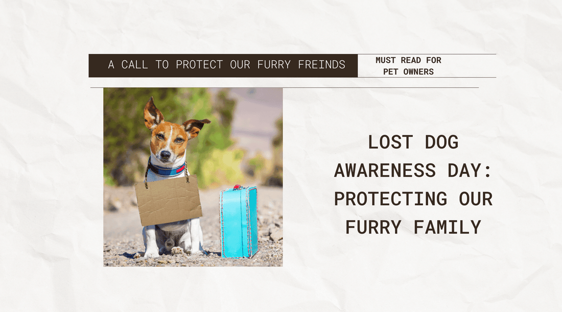 Lost Dog Awareness Day: Protecting Our Furry Family - Heart Crafted Gifts