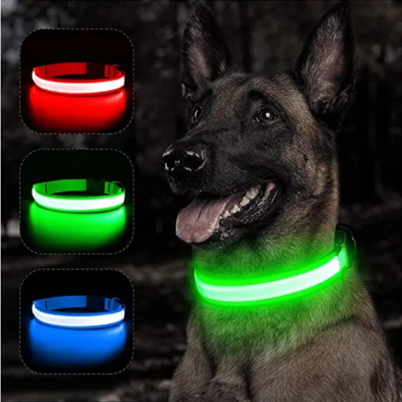 LED Light up Dog Collar - Anti-Lost Safety: Glow in the dark - Heart Crafted Gifts