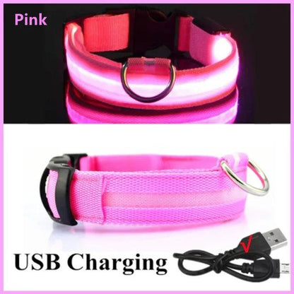 LED Light up Dog Collar - Anti-Lost Safety: Glow in the dark - Heart Crafted Gifts