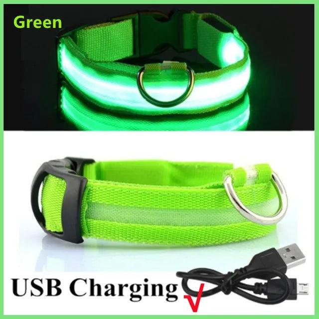 LED Light up Dog Collar - Anti-Lost Safety: Glow in the dark - Heart Crafted Gifts