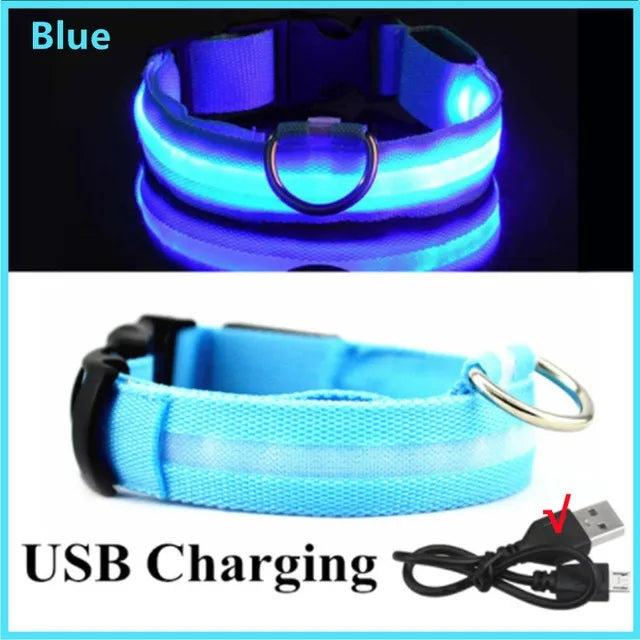 LED Light up Dog Collar - Anti-Lost Safety: Glow in the dark - Heart Crafted Gifts