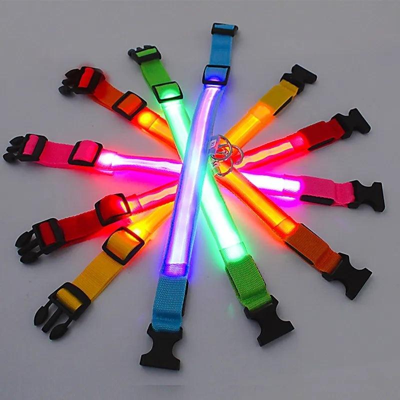 LED Light up Dog Collar - Anti-Lost Safety: Glow in the dark - Heart Crafted Gifts