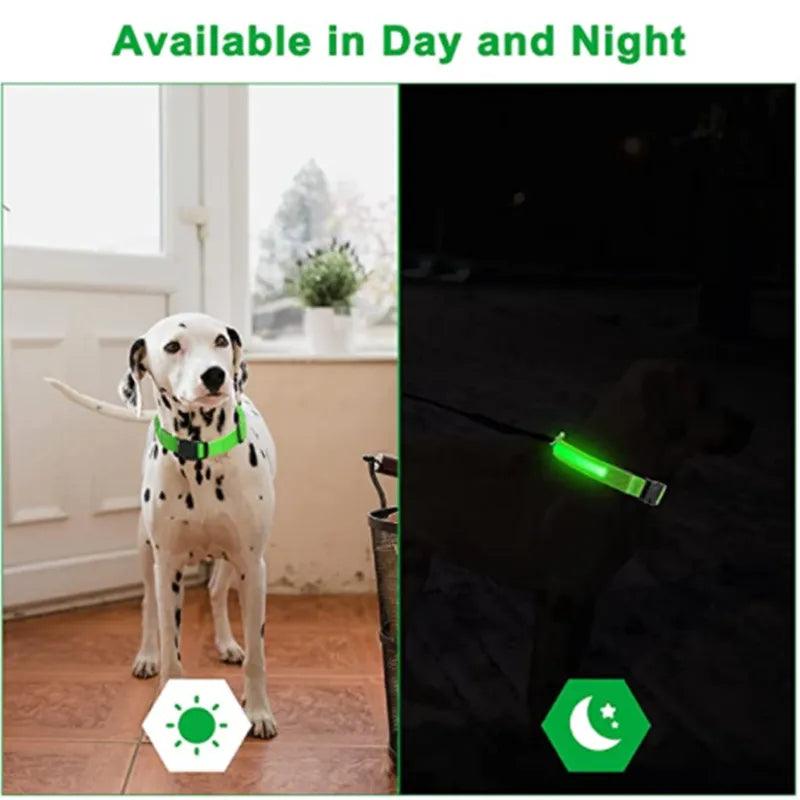 LED Light up Dog Collar - Anti-Lost Safety: Glow in the dark - Heart Crafted Gifts