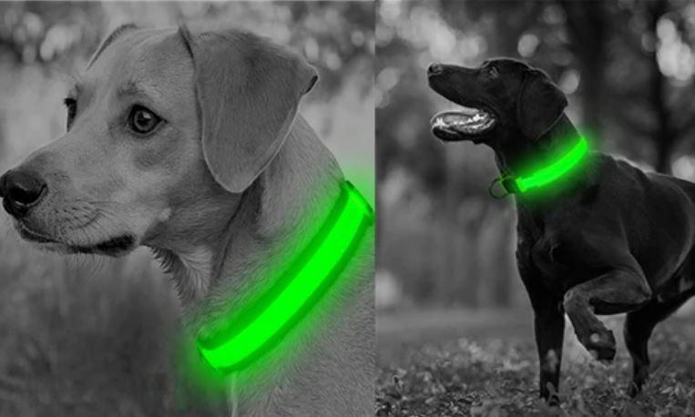 LED Light up Dog Collar - Anti-Lost Safety: Glow in the dark - Heart Crafted Gifts