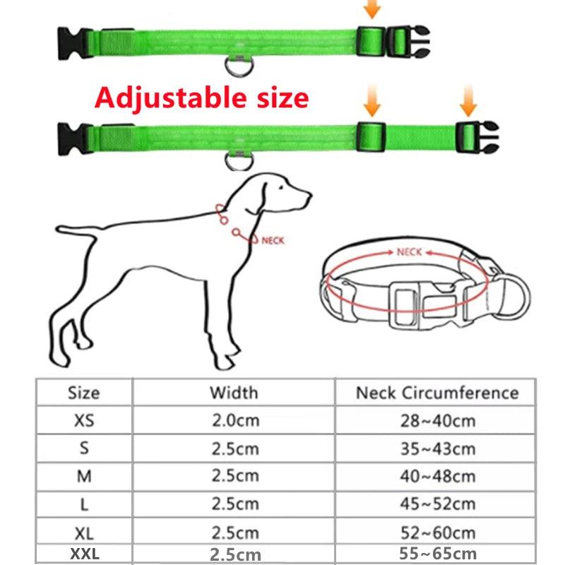 LED Light up Dog Collar - Anti-Lost Safety: Glow in the dark - Heart Crafted Gifts