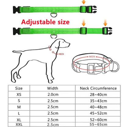 LED Light up Dog Collar - Anti-Lost Safety: Glow in the dark - Heart Crafted Gifts