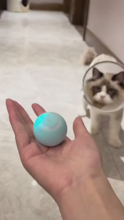 Interactive Electric Cat Ball self moving and self rolling video