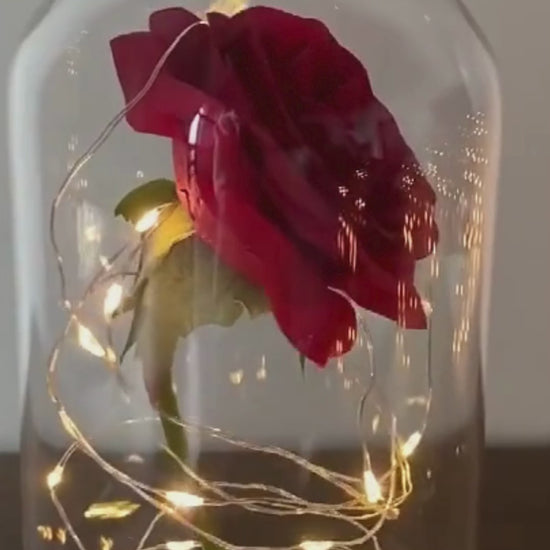 Lighted Rose Galaxy Flower