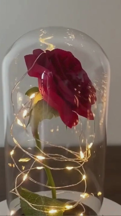 Lighted Rose Galaxy Flower