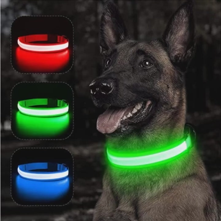 video for ED Light up Dog Collar - Anti-Lost Safety: Glow in the dark